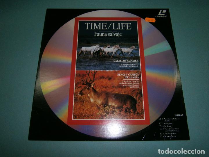 Cine: LASER DISC - BBC - NUEVO - D1 - Foto 1