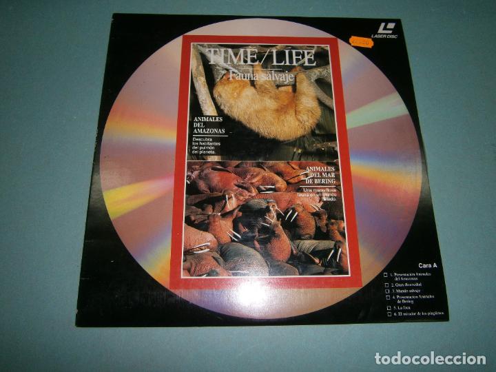 Cine: LASER DISC - BBC - NUEVO - D1 - Foto 1
