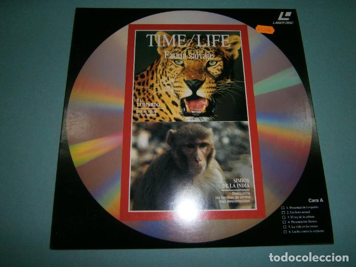 Cine: LASER DISC - BBC - NUEVO - D1 - Foto 1