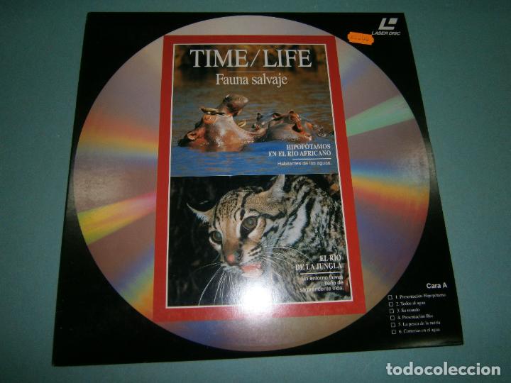 Cine: LASER DISC - BBC - NUEVO - D1 - Foto 1