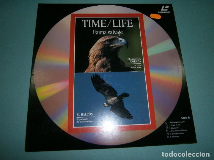 Cine: LASER DISC - BBC - NUEVO - D1 - Foto 1