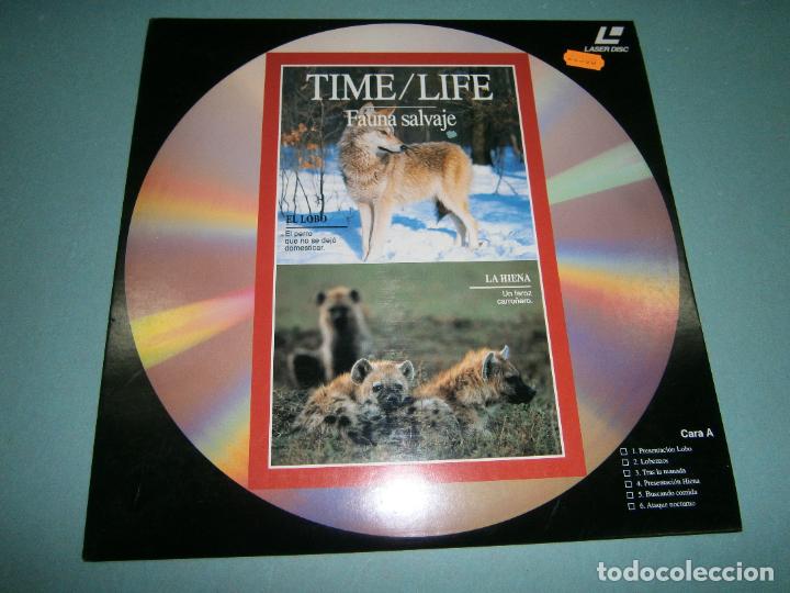 Cine: LASER DISC - BBC - NUEVO - D1 - Foto 1