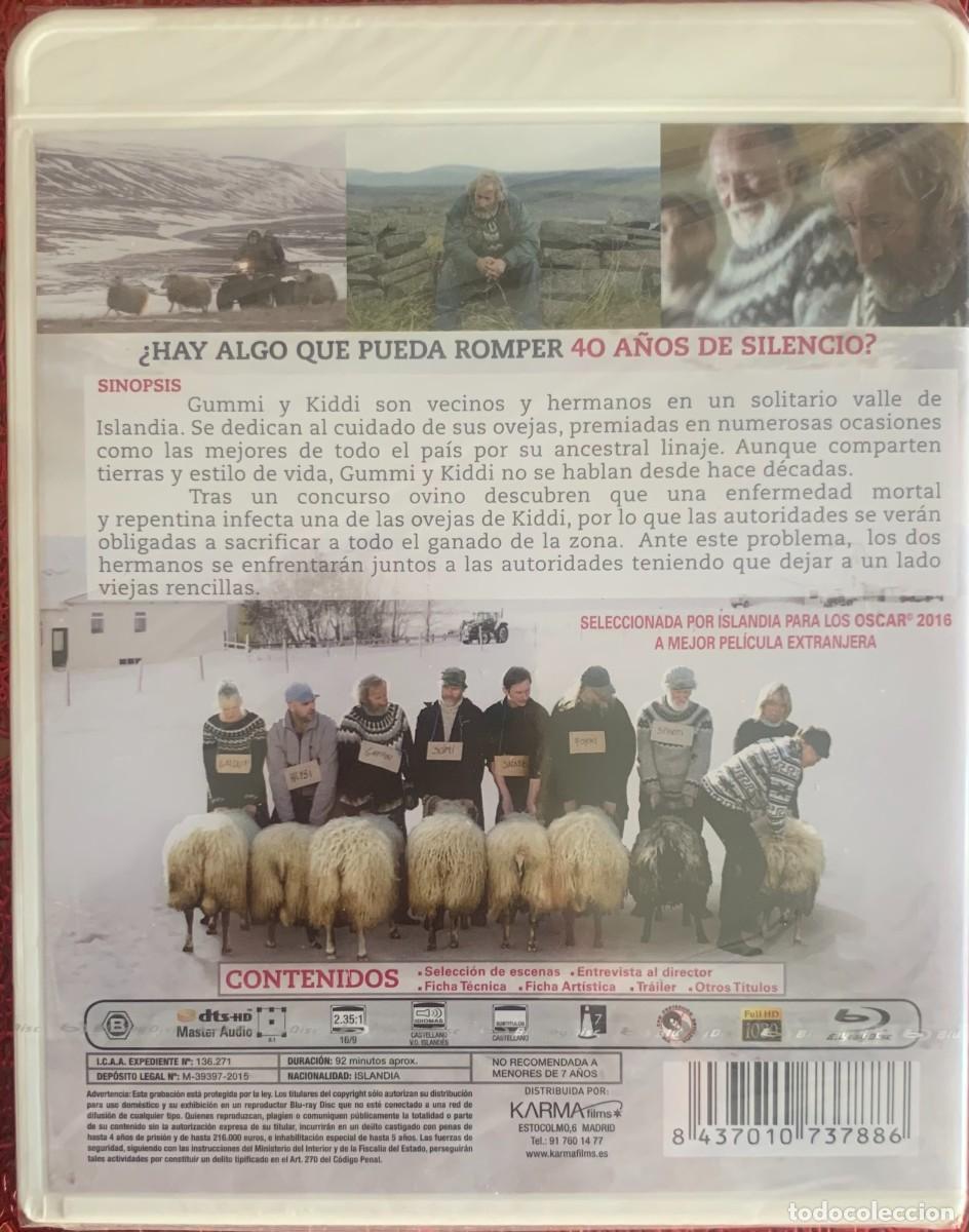 Cine: RAMS EL VALLE DE LOS CARNEROS (Gr&iacute;mur H&aacute;konarson, 2015) - Foto 2
