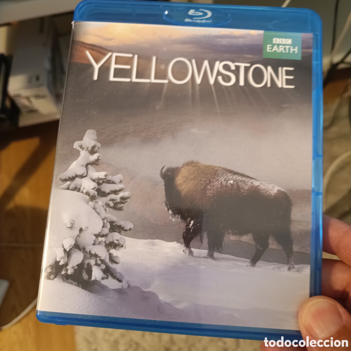 Cinema: Yellowstone (BBC Earth) (Audio Ingl&eacute;s con Subtitulos en Ingl&eacute;s)