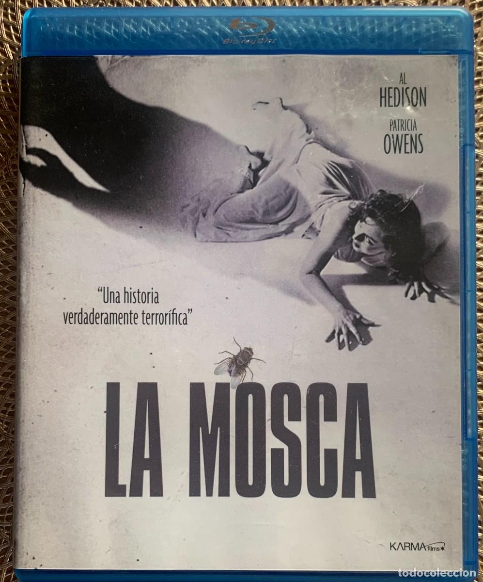 Cine: LA MOSCA (Kurt Neumann, 1958) - Foto 1