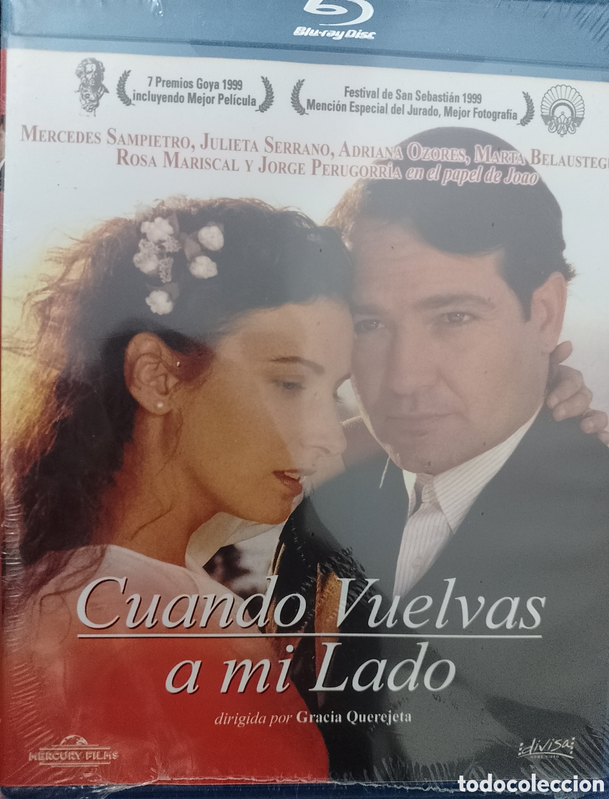Cine: Blu-ray Cuando vuelvas a mi lado - Foto 1