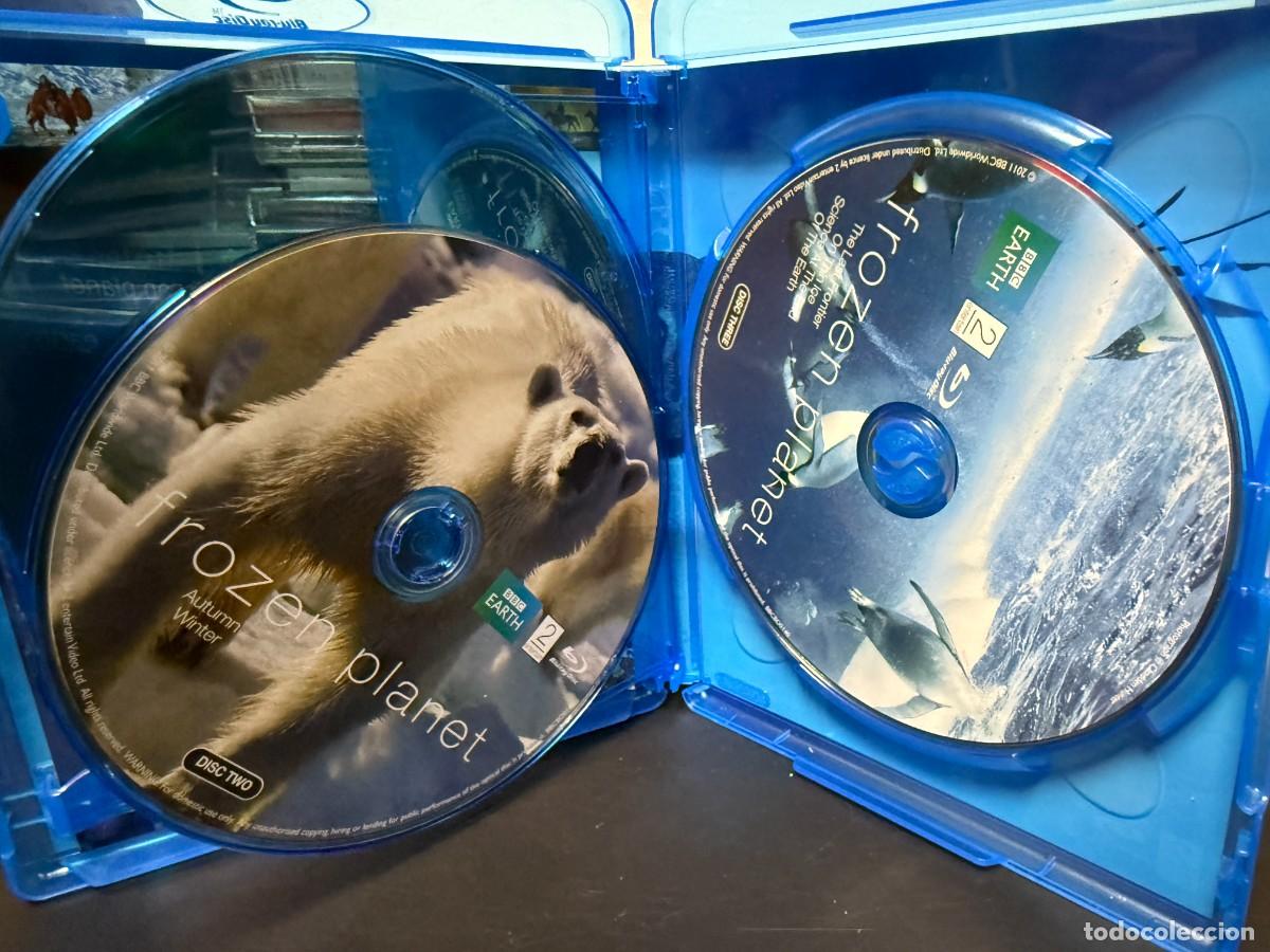 Cine: Frozen Planet (Blu-ray) 3 Discos - Foto 5
