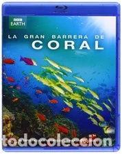 Kino: La Gran Barrera De Coral- 8421394400825