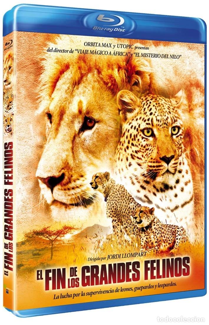 Cinema: EL FIN DE LOS GRANDES FELINOS (BLU-RAY)