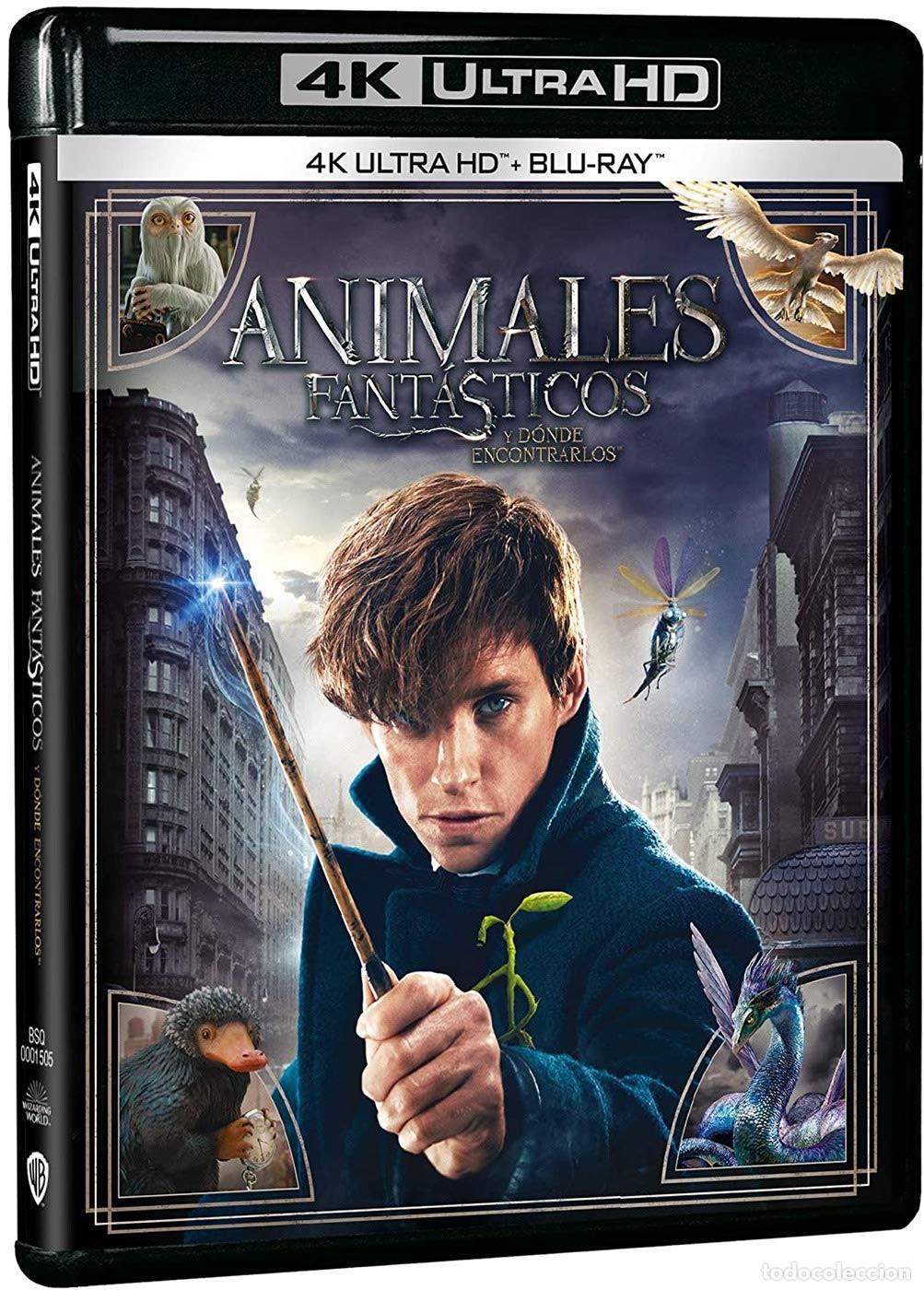 Kino: Animales Fant&aacute;sticos y D&oacute;nde encontrarlos 4k UHD [Blu-Ray] [Blu-ray]