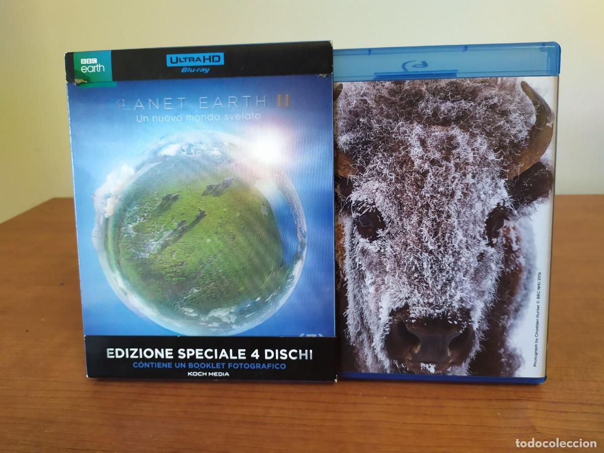 Cine: BLU-RAY PLANET EARTH II, un nuevo mundo revelado-4 discos, 4K ultra HD BBC-documental animal-