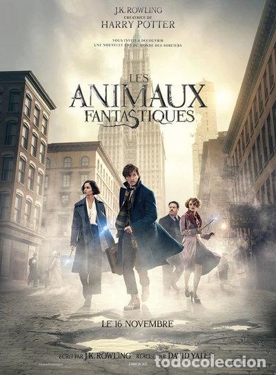 Cine: Fantastic Beasts And Where To Find Them- 5051888227541