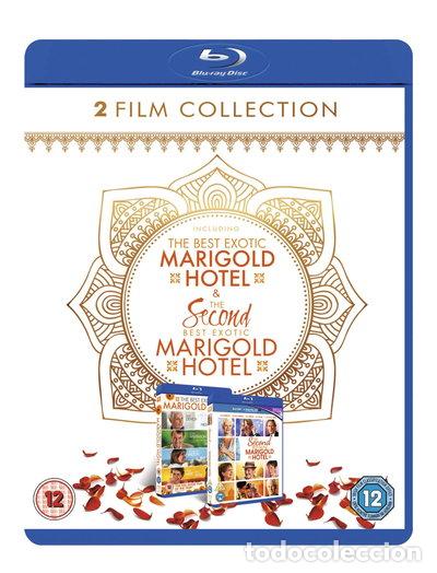 Cine: The Best Exotic Marigold Hotel / The Second Best Exotic Marigold Hotel- 5039036073271