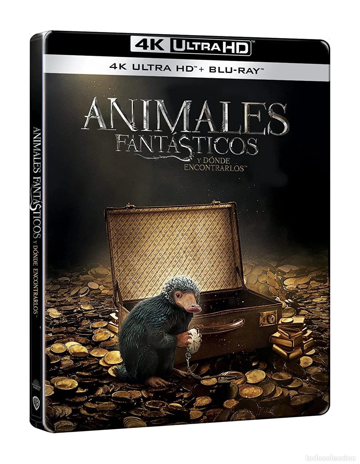 Cine: Animales fant&aacute;sticos 1: Y donde encontrarlos (4K UHD + Blu-ray) (Ed. especial met&aacute;lica) [Blu-ray]