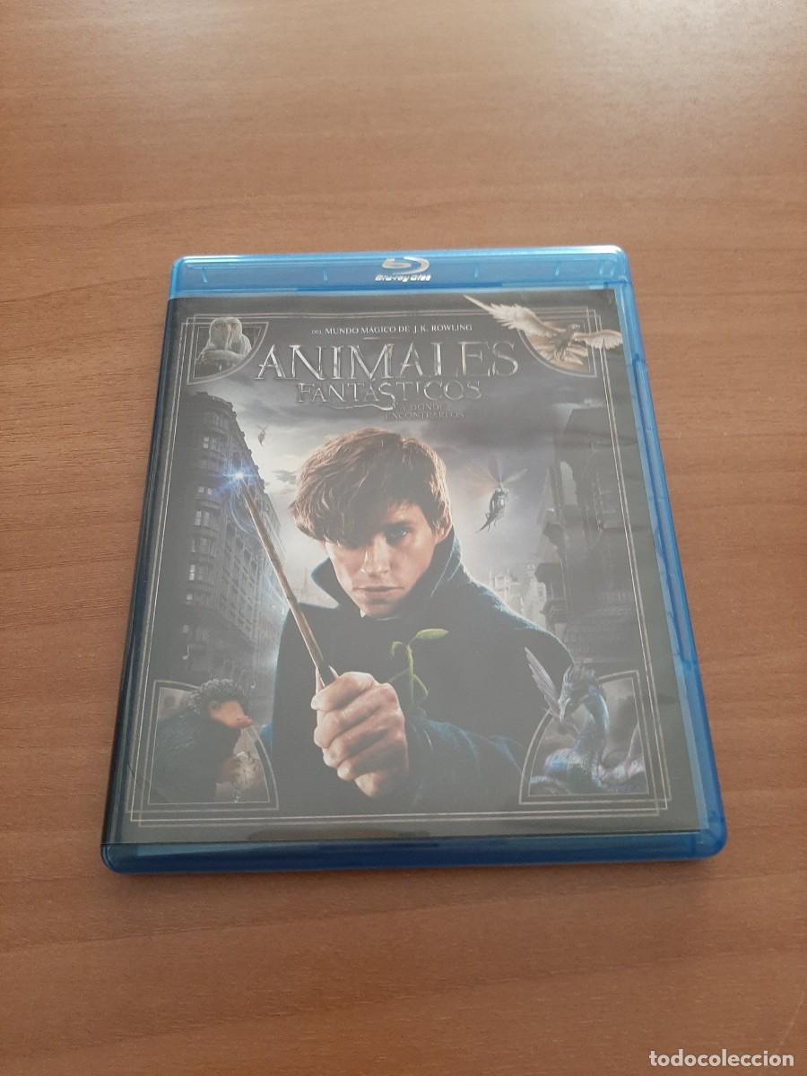 Cine: ANIMALES FANT&Aacute;STICOS Y DONDE ENCONTRARLOS - J.K. ROWLING