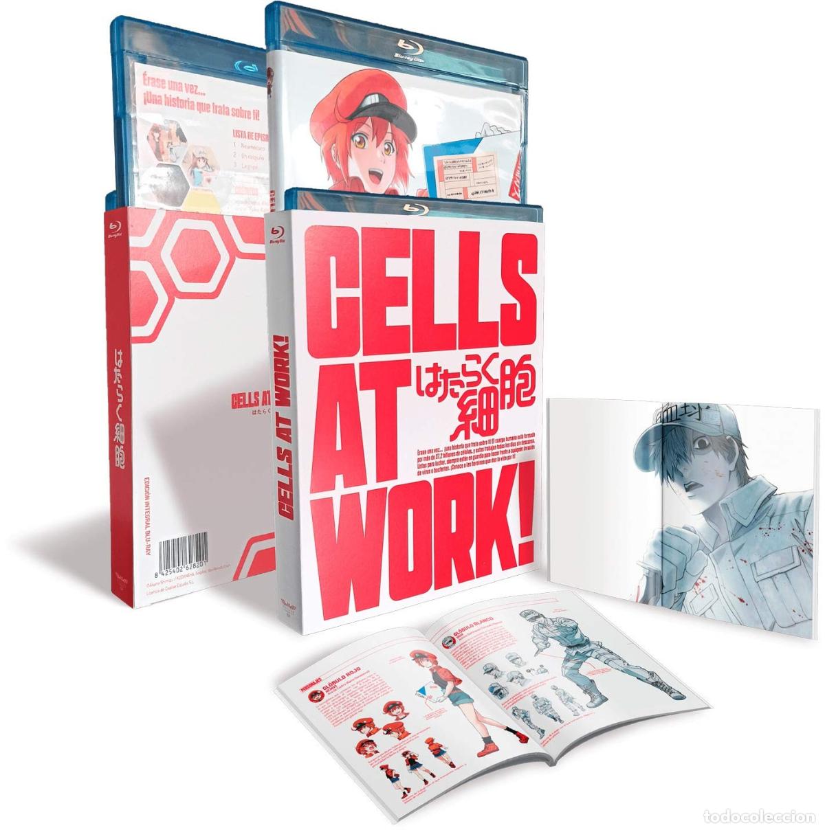 Cinema: Cells At Work! (Vol. 1 +2 Primera Temporada Completa) [Blu-ray] (2018) Hataraku Saibou