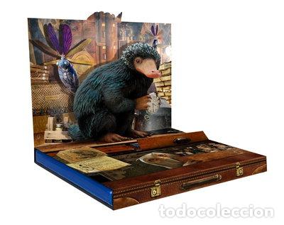Cine: Animales Fant&aacute;sticos Y Donde Encontrarlos- 8420266005601