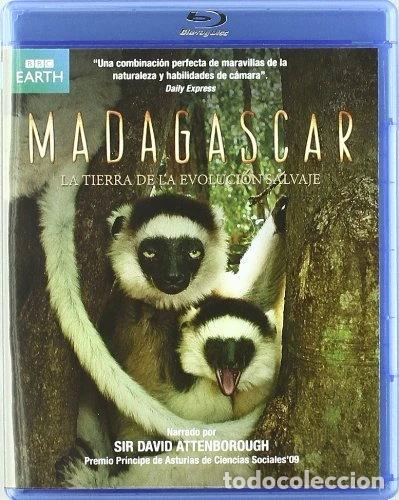 Cine: Madagascar- 8436027579991