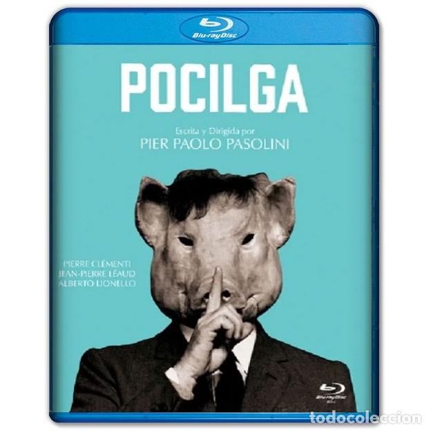 Cine: POCILGA Bluray (Drama, Pier Paolo Pasolini)