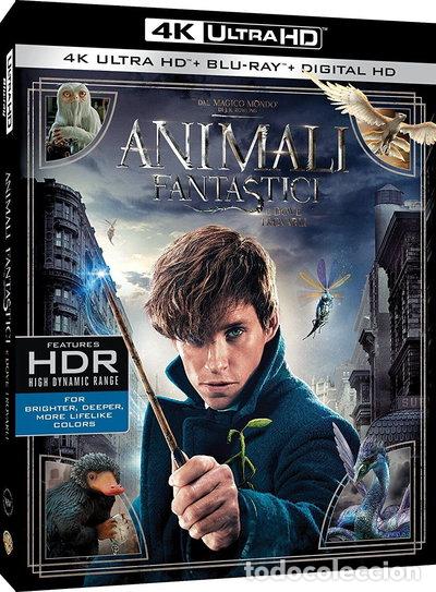 Cine: Animali Fantastici E Dove Trovarli- 5051891147164