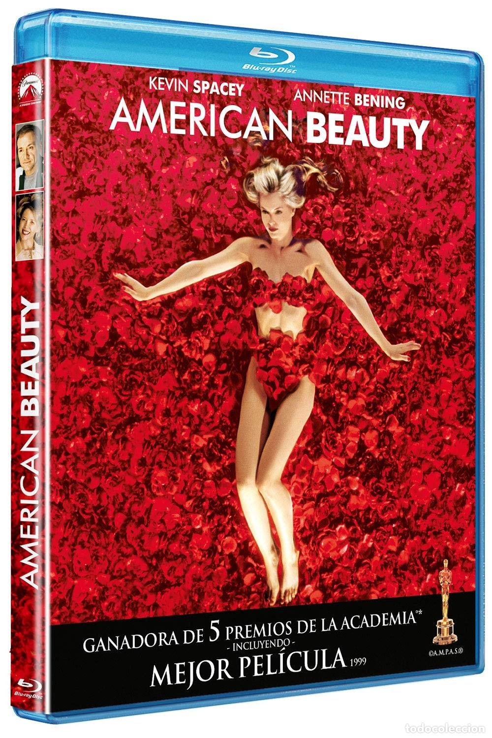 Cinema: AMERICAN BEAUTY -&nbsp; (BD) [Blu-ray]