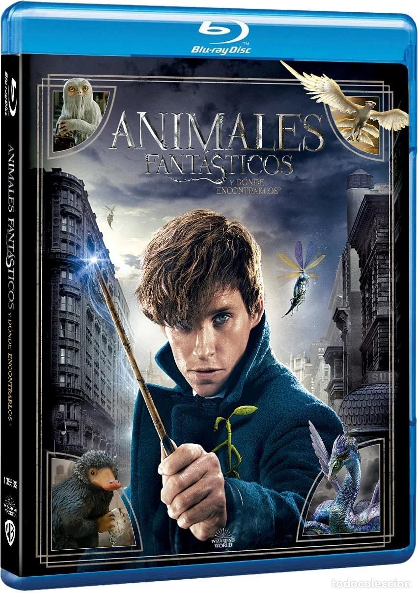 Cine: Animales fant&aacute;sticos 1: Y d&oacute;nde encontrarlos (Blu-ray) [Blu-ray]