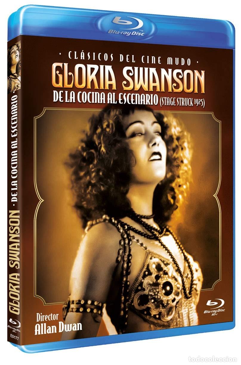 Cinema: Gloria Swanson: De La Cocina Al Escenario [Blu-ray R] (1925) Stage Struck
