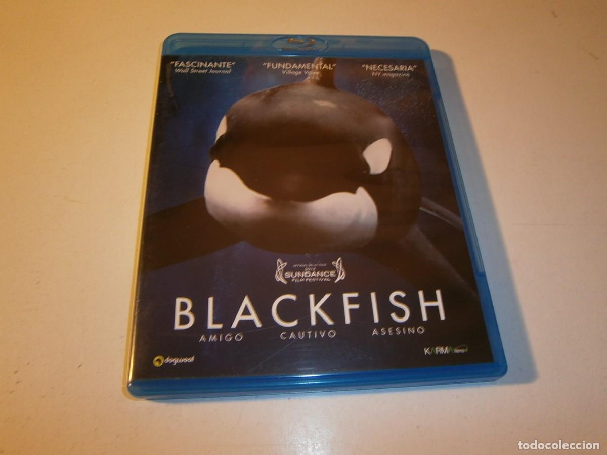 Cine: BLACKFISH BLU-RAY BLU-RAY