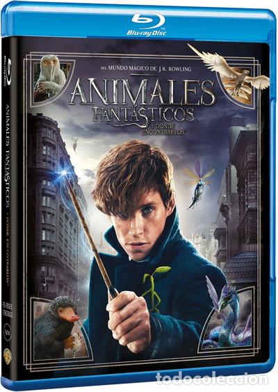 Cine: Animales Fant&aacute;sticos Y D&oacute;nde Encontrarlos- 8420266005595