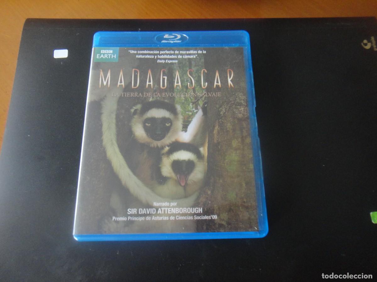 Cine: MADAGASCAR - LA TIERRA DE LA EVOLUCION SALVAJE - BLU - RAY