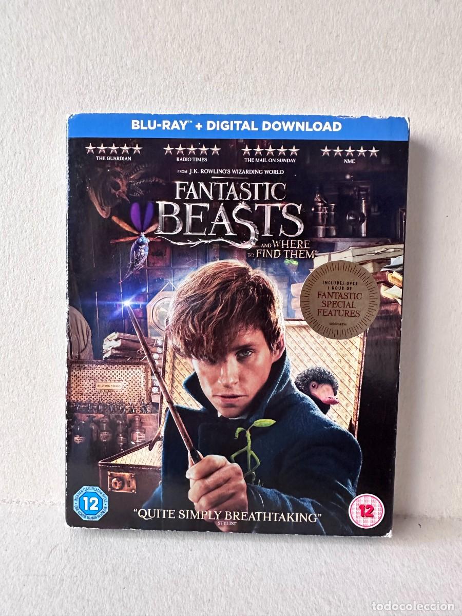 Cine: Fantastic Beasts And Where To Find Them (Blu-ray)