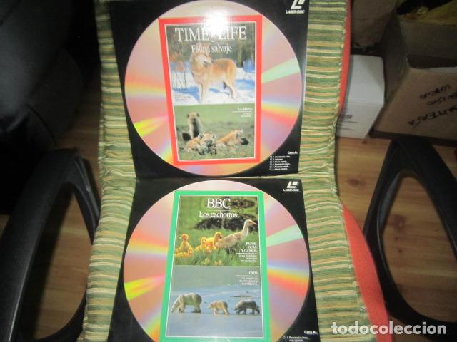Cine: 2 LASER DISC - TIME / LIFE - PAL TV DIGITAL - FOX LORBER 1993 - MUY NUEVOS 1 DE ELLOS PRECINTADO -