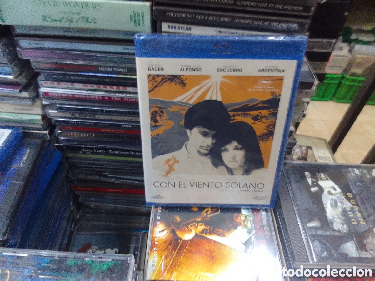 Cine: Con el viento solano,Mario camus