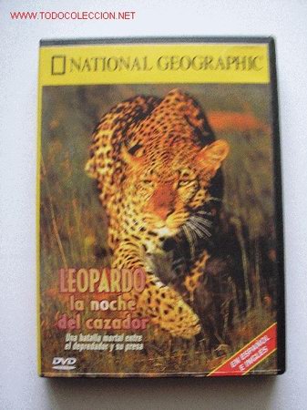 Kino: LEOPARDO, LA NOCHE DEL CAZADOR - national geographic.