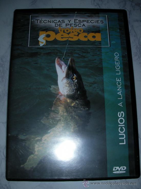 Cine: TECNICAS Y ESPECIES DE PESCA - LUCIOS A LANCE LIGERO