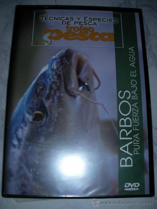 Cine: TECNICAS Y ESPECIES DE PESCA - BARBOS PURA FUERZA BAJO EL AGUA
