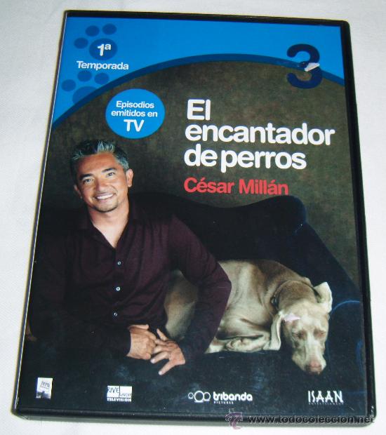 Doméstico Mar Derribar dvd el encantador de perros cesar millan - Comprar Películas DVD de  colección en todocoleccion - 30492386
