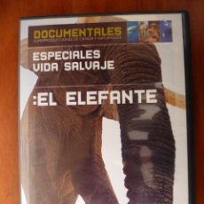 Cine: DOCUMENTAL: BBC - EL ELEFANTE - 50 MIN. - (VER FOTOS) . Lote 31475801