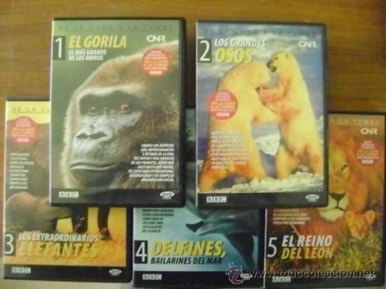 Cine: 5 DVD documental BBC
