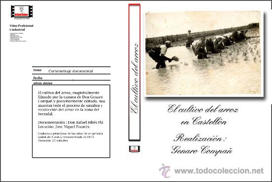 Kino: EL CULTIVO DE ARROZ DOCUMENTAL SOBRE LA COSECHA DEL ARROZ EN CASTELLON A&Ntilde;OS 50