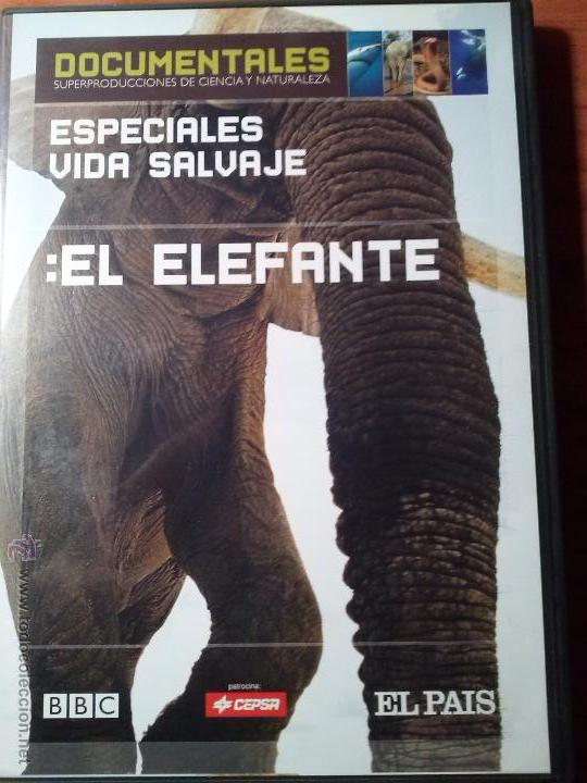 Cine: EL ELEFANTE - Foto 1
