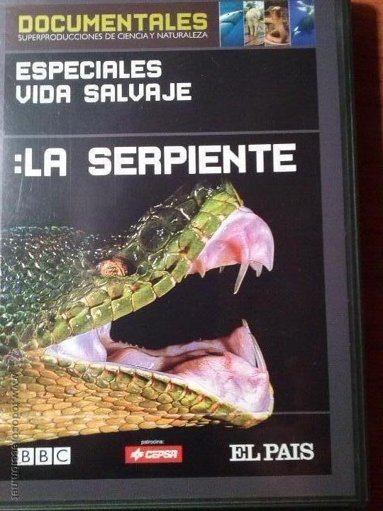 Cine: LA SERPIENTE - Foto 1