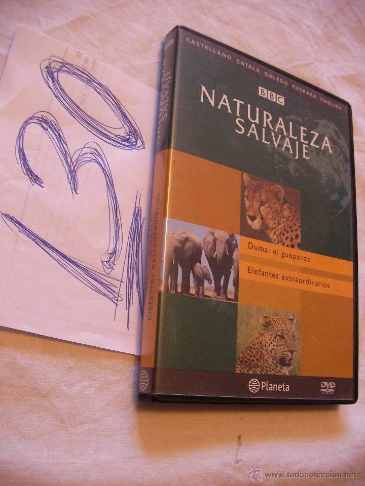 Cine: DVD NATURALEZA SALVAJE - EL REINO DEL LEON - LEOPARDO: EL REY DE LA NOCHE - ENVIO GRATIS