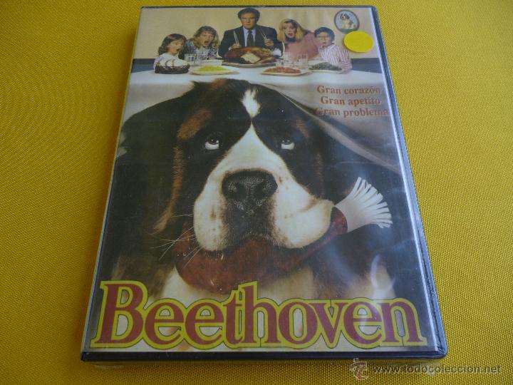 Beethoven 1 Pelicula Completa En Español Beethoven: Uno más de la familia (1992)pelicula completa netflix