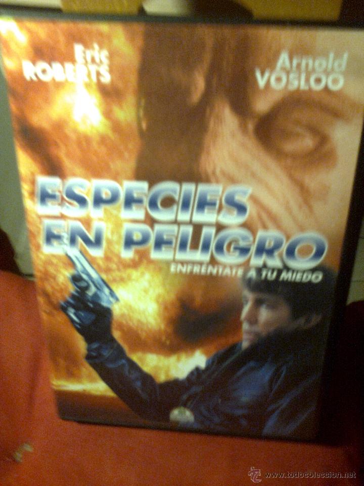 Cine: ESPECIES EN PELIGRO - Foto 1