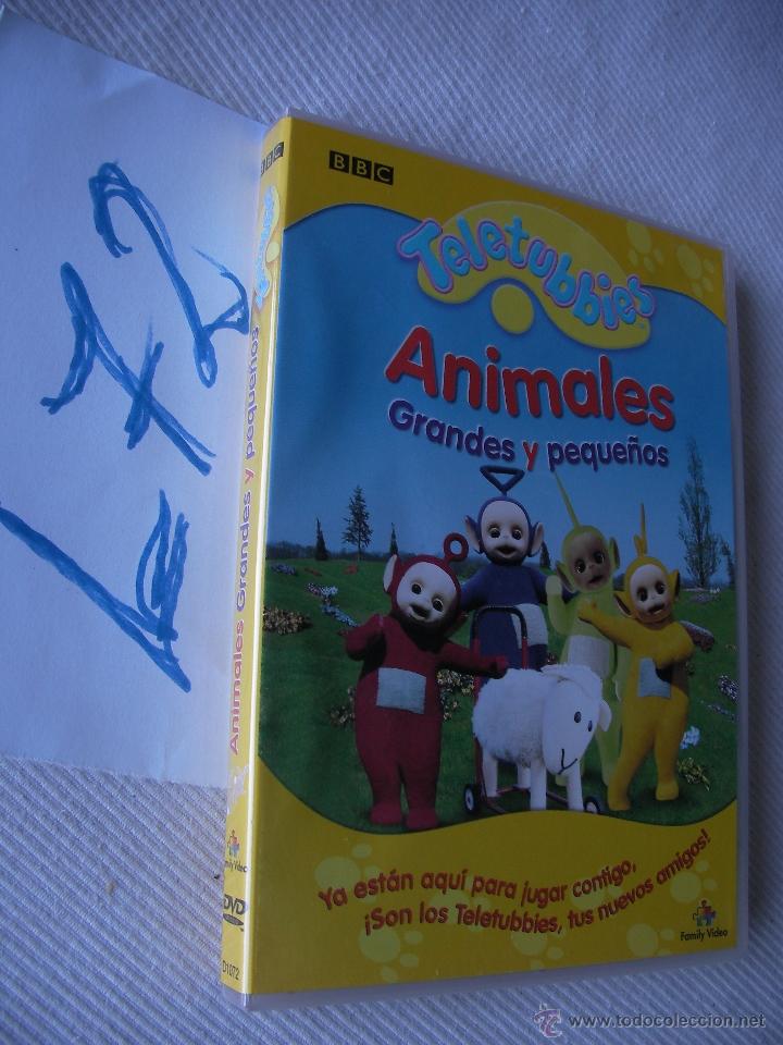 Cine: DVD INFANTIL - ENVIO GRATIS A ESPA&Ntilde;A