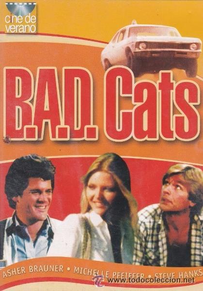 Cine: BAD CATS - DVD RF-432, BUEN ESTADO