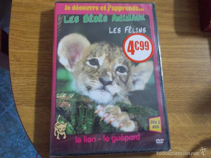 Cine: LES B&Eacute;B&Eacute;S ANIMAUX LES F&Eacute;LINS.