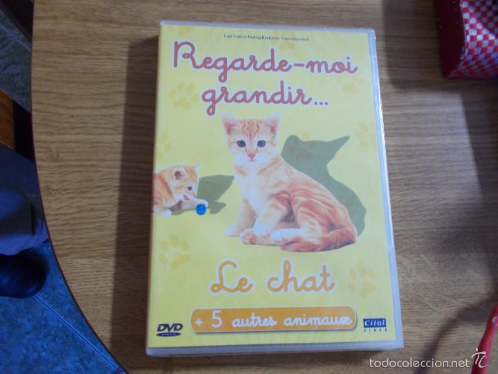 Cine: REGARDE-MOI GRANDIR. LE CHAT