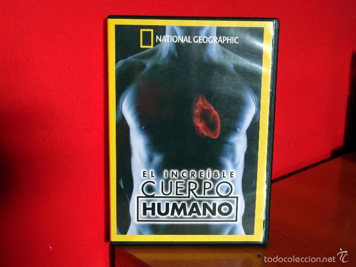 El increíble cuerpo humano dvd documental natio - Vendido en Venta